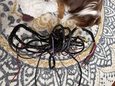 New Austin Seven Ruby Wiring