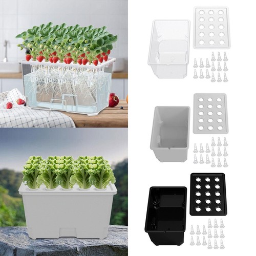 Hydroponic growing system - growing, kit