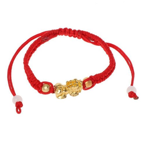 Chinese feng shui gold - shui, pi