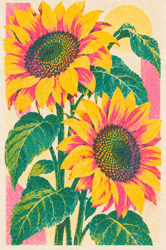 Sunflower risograph print - sunflower,