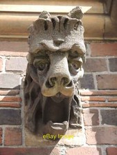 Photo 6x4 A fierce face Arno's