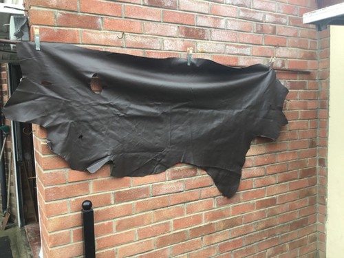 Cow hide leather - cow,