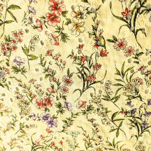 Broderie anglaise cotton - broderie,