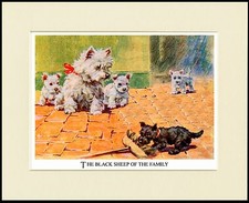 WESTIE TERRIER MUM PUPS NAUGHTY SCOTTISH TERRIER PUP DOG PRINT READY TO FRAME