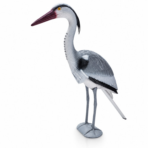 Bermuda heron pond - bermuda,