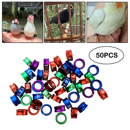 50x split aluminium bird leg - bird,