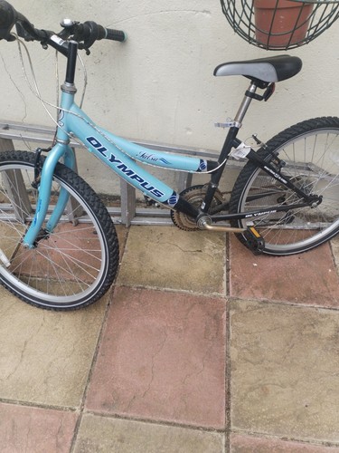 Mountain bike disc brake - disc,