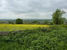 Photo A1 View west from