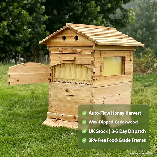 Frame auto flow honey - auto,