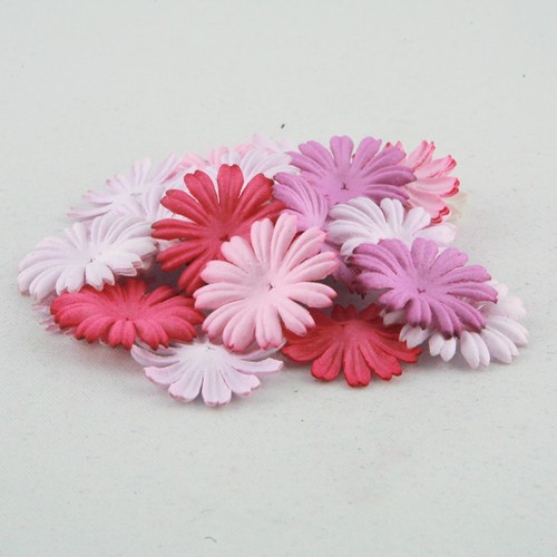 Purple and pink - purple, mulberry
