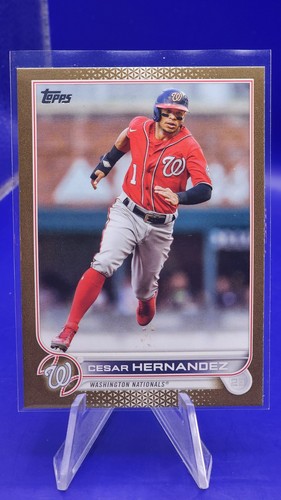 Mlb washington nationals - washington,