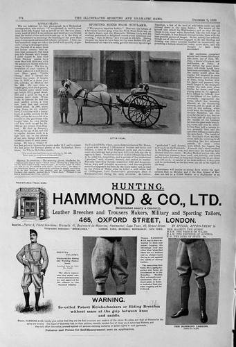 Antique old print 1900 - print,
