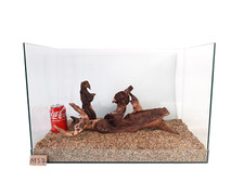 Fish Tank Bogwood Aquarium  Driftwood - Mopani- LARGE Set 3 Pieces