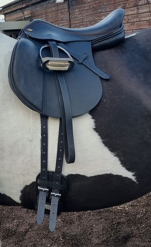 Harry dabbs black - dabbs,