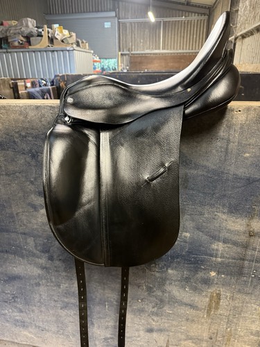 Albion platinum black dressage - black,