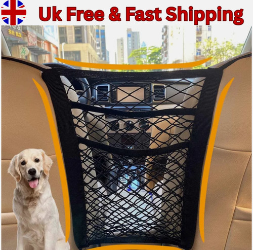 Pet dog car safety - pet,