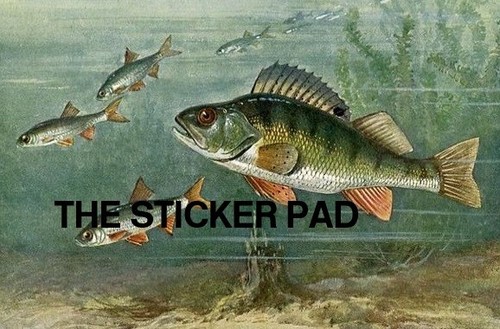 Vinyl sticker perch coarse - vinyl,