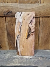Live Edge Yew Slab (362)
