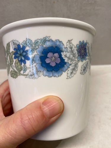 Blue floral wedgwood - floral,