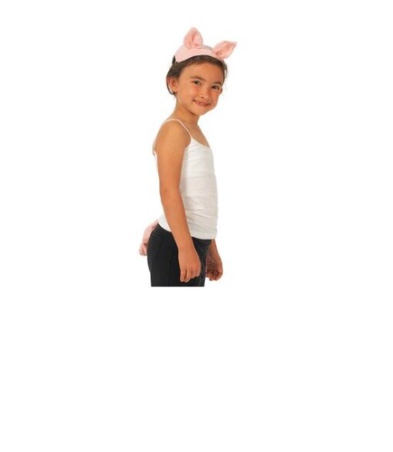 Kids pig costume - pig,