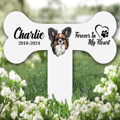 Bone papillon dog heart - heart, pet