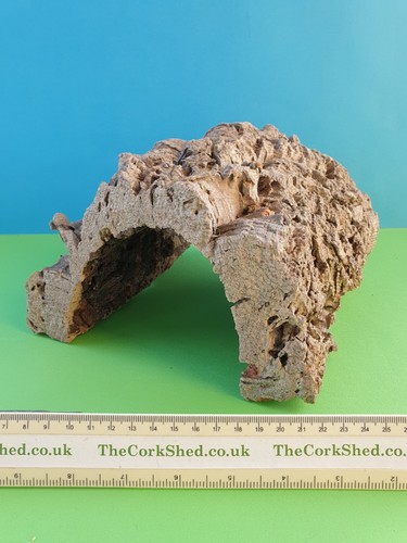 Cork bark reptile - reptile, hide