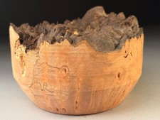 Live Edge Burr Elm Resin