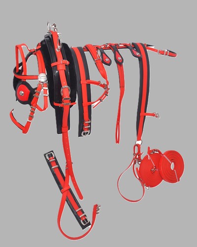 Breeching tie down driving - breeching,