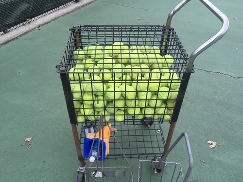 Used tennis balls free - 50,