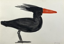 Black Bird Watercolor Drawing