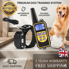 Electric Dog Pet Training