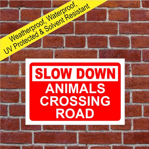 Slow down animals crossing