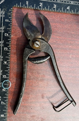Shillito secateurs - shillito,