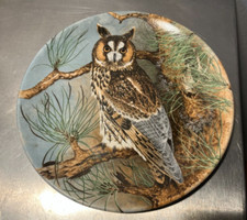 Coalport Collectors Plate Long Eared Owl With COA & All Paperwork Lovely Example