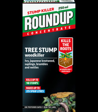 Roundup Tree Stump And Root