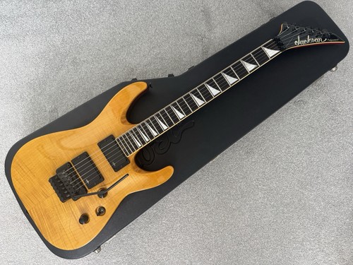 Jackson professional soloist - jackson,