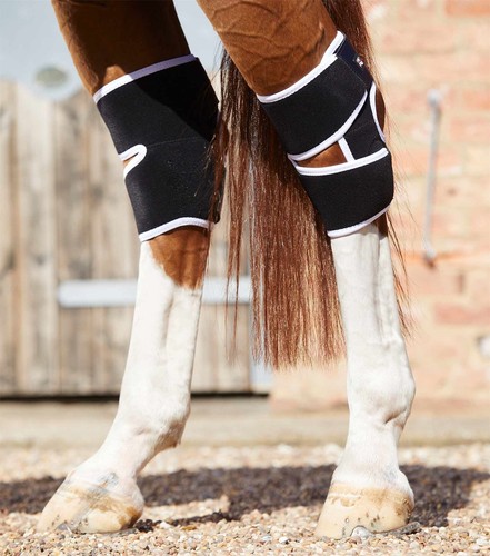 Premier equine magni teque - premier,