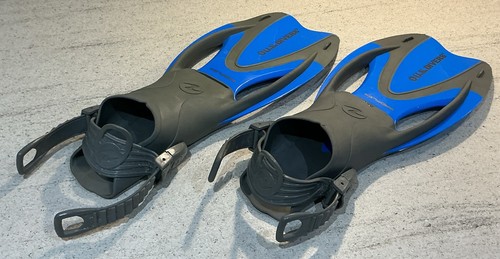 Divers snorkeling swim - divers,