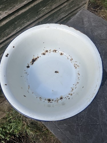 Vintage enamel wash bowl - ,