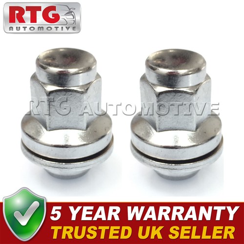 Wheel nuts for - nuts, verso