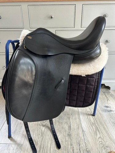 Harry dabbs elegant - harry,
