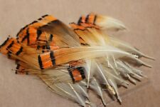 Fly Tying Golden Pheasant Natural Tippet Feathers 50 pack