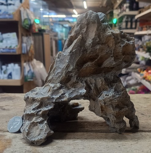 Dragon stone ornament fish - stone,