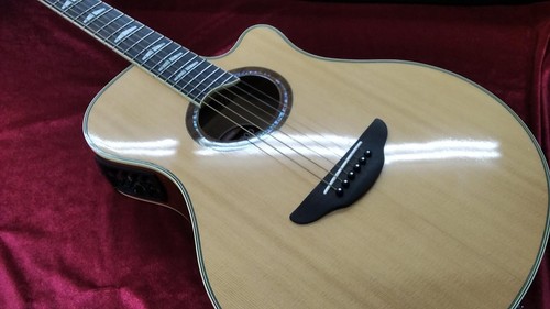 Yamaha apx1000 acoustic - apx1000,