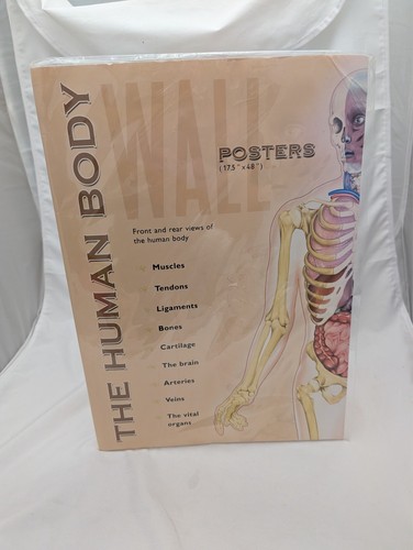 Human body poster pack 2007 - body,