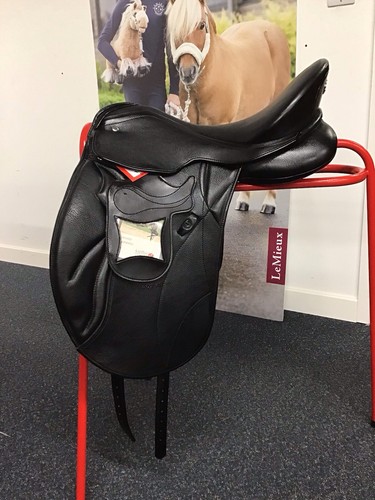 171 kieffer ascona dressage - kieffer,