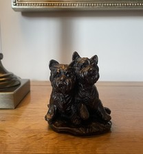 West Highland Terrier - Dog