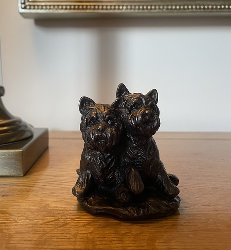 West highland terrier - -, dog