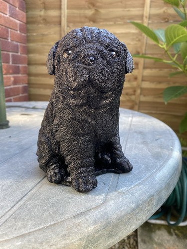 Pug dog black garden - pug, stone