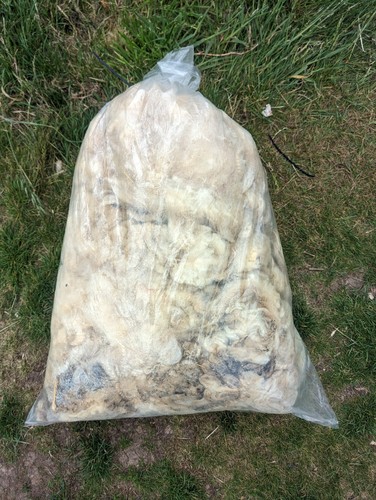 1kg straight from - , farm